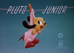 Pluto-Junior