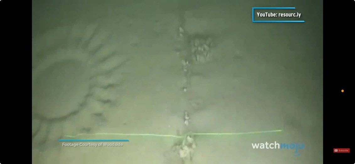 List of references in non-Disney web videos/W-Z | Disney Wiki | Fandom