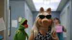 TheMuppets-S01E05-PiggySunglasses.png (649 KB)