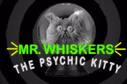 Whiskers psychic