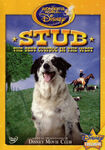 Stub, the Best Cow Dog in the WorldOctober 23, 2007