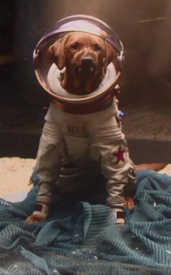 Cosmo the Spacedog, Disney Wiki
