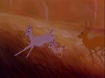 Ena and Faline flee the meadow to escape Man.