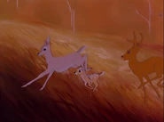 Ena y Faline huyen de la pradera por los hombres.