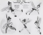 Tinkerbellmodelsheet.png (535 KB) An early model sheet of Tinker Bell (1940)