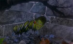 James (as a caterpillar) was being chased by the Rhino during his nightmare about his aunts.