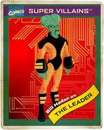 Leader's Card