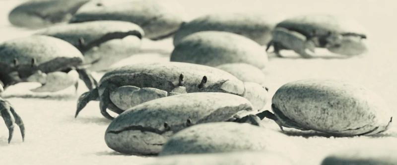 Davy Jones' Locker Crabs