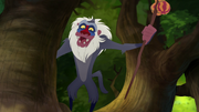 Rafiki laughs at Kion and Bunga