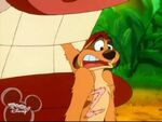 Timon with a Z on his chest