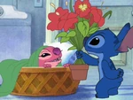 Stitch proposing to Angel