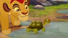 Kion helpt een schildpad
