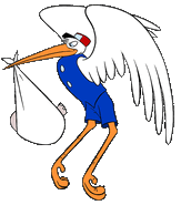 Dumbo stork