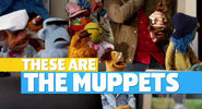 Muppets2011Trailer01-1920 07