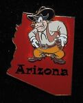 Pete arizona character pin