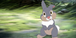 Thumper2