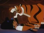Rajah licks the scourge
