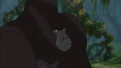 Kerchak | Disney Wiki | Fandom
