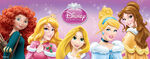 Disney Princess Christmas