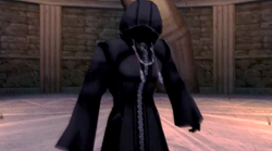 Xemnas confronts Sora.