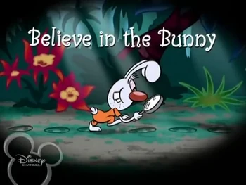 Believe in the Bunny