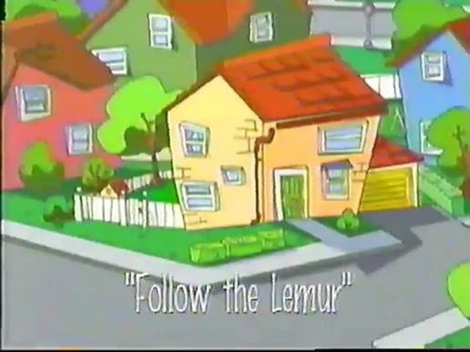 Follow the Lemur