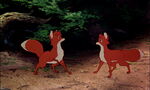 Fox-and-the-hound-disneyscreencaps.com-8471