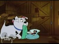 Rolly has a Mickey Mouse in 101 Dalmatians The Series.