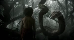 The Jungle Book 2016 (film) 16.png (4.12 MB)