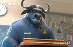 Cheif-Bogo-Zootopia