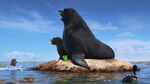 Finding-dory-disneyscreencaps.com-4352