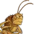 Hopper DHBM