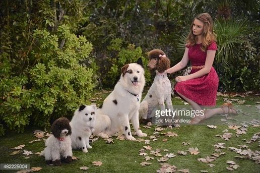Stan Rescues His Princess