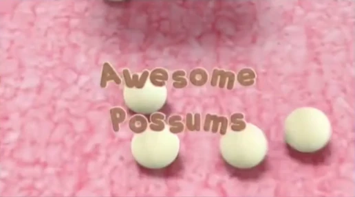 Awesome Possums