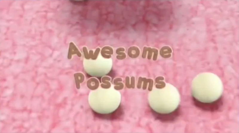 Penny Possum