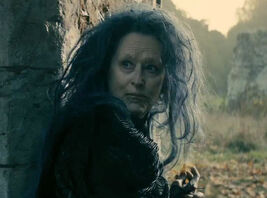 Bruja IntoTheWoods