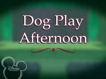 Dog Play Afternoon