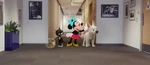 Bolt in Once Upon a Studio