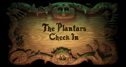 The Plantars Check In