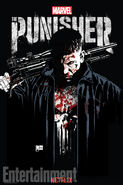 The Punisher poster