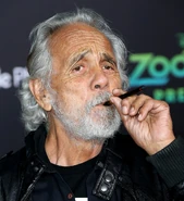 Tommy Chong at the premiere of Zootopia in February 2016.