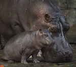 Augustus Kilimanjaro Safaris 05.jpg (1.26 MB)