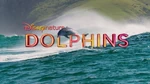 Dolphins logo.jpg (48 KB) Early title of the film
