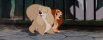 Lady-tramp-disneyscreencaps.com-6489