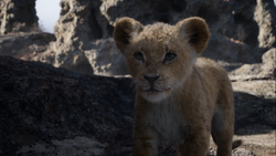 The Lion King (2019 film) Nala cub