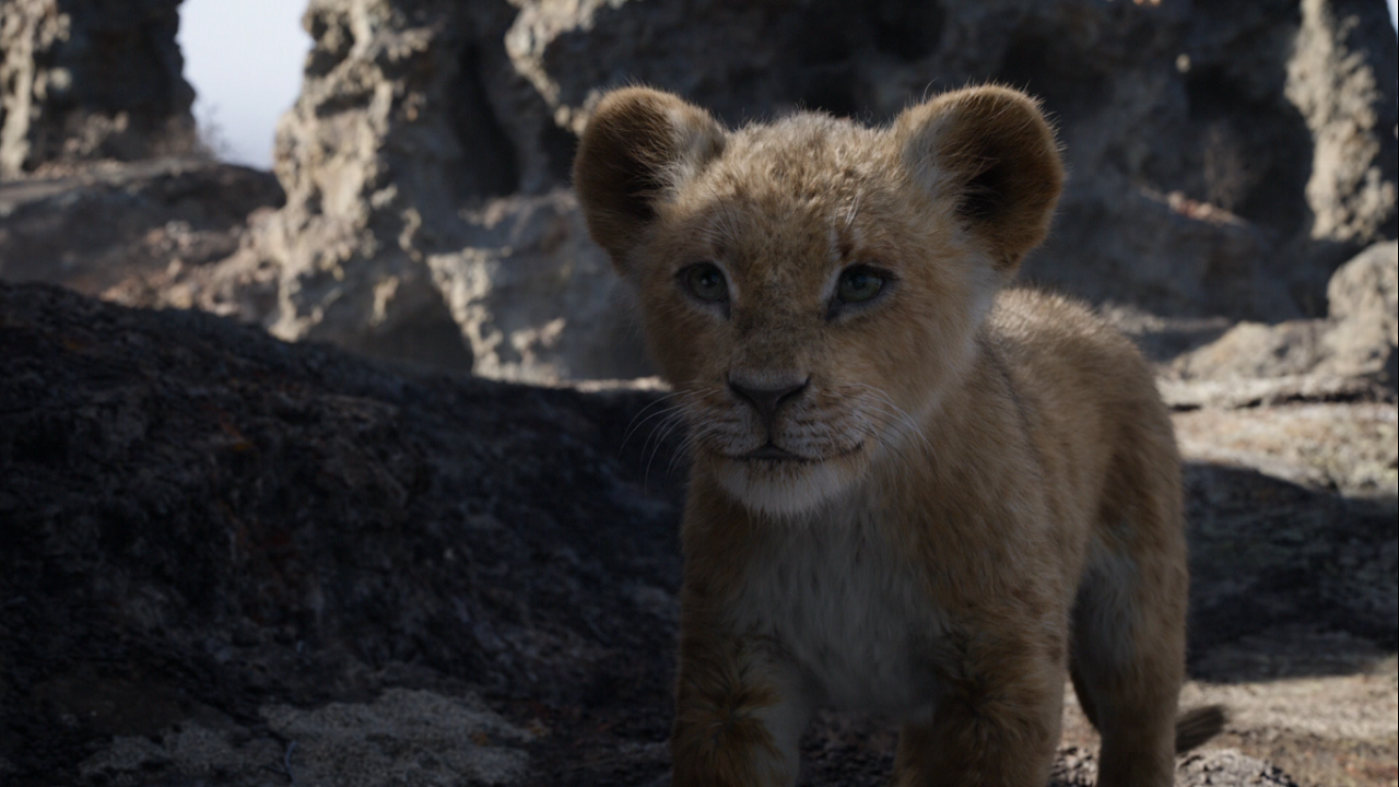 Nala Disney Wiki Fandom
