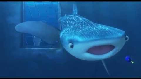 "You're a Beluga" Clip - Disney Pixar's Finding Dory