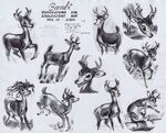 Adolescent Bambi by Milt Kahl