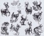 Adolescent Bambi by Milt Kahl.