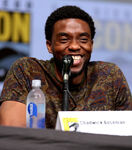 Chadwick Boseman speaks at the 2017 San Diego Comic Con.